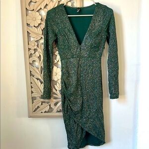 NWT- Windsor- Elegant Green Long Sleeve Dress